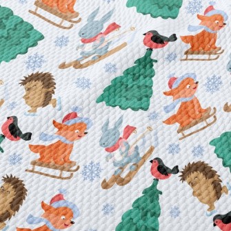 Skating Hedgehog And Skiing Ra Birdseye Piqué