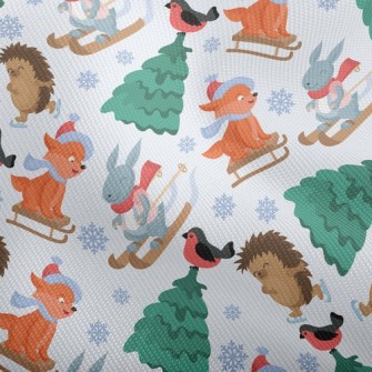 Skating Hedgehog And Skiing Ra Dobby