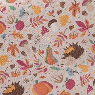 Hedgehog Who Loves Fruits And  Twill