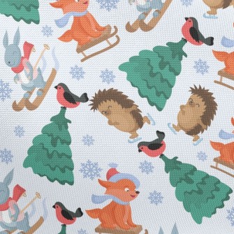 Skating Hedgehog And Skiing Ra Pongee