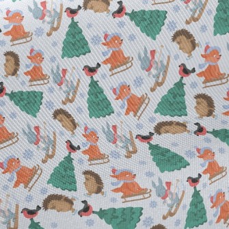 Skating Hedgehog And Skiing Ra Midweight Cotton Poplin