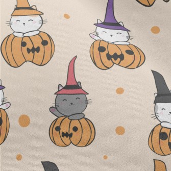 Magic Kitten Pumpkin Chiffon