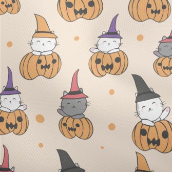 Magic Kitten Pumpkin Dobby