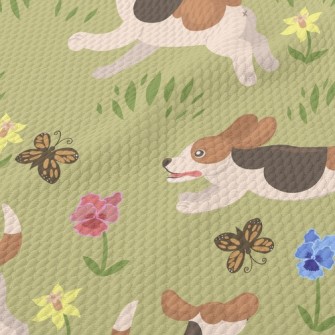 Running Beagle Birdseye Piqué