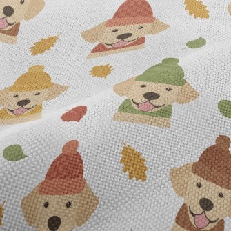 Colorful Fur Hat Labrador Performance Linen