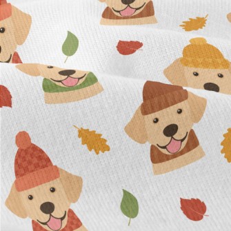 Colorful Fur Hat Labrador Modern Jersey