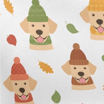 Colorful Fur Hat Labrador Pongee