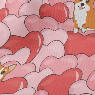 Full Of Love Corgi Terry