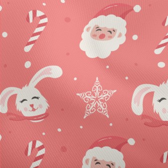 Santa Claus And Rabbit Dobby