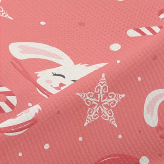 Santa Claus And Rabbit Piqué