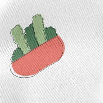 Hand Drawn Succulents Standard Corduroy