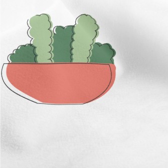 Hand Drawn Succulents Micro Fleece