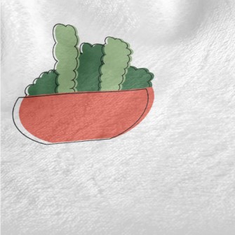 Hand Drawn Succulents Minky