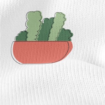 Hand Drawn Succulents Stretch Jersey