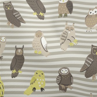 Hand Drawn Various Owls Dobby