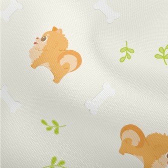 Pomeranian With Round Eyes Dobby