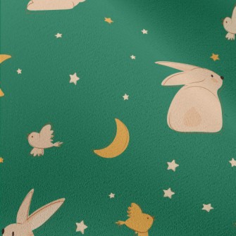 Moon And Rabbit Illustration Chiffon