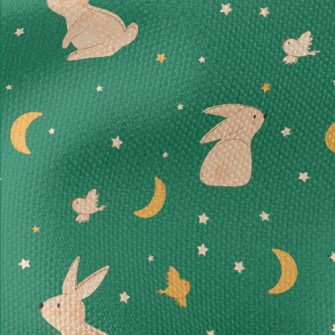 Moon And Rabbit Illustration Waterproof Canvas