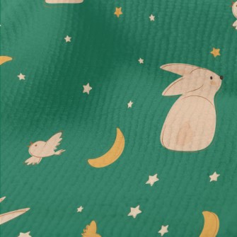 Moon And Rabbit Illustration Terry