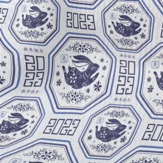 Elegant Blue And White Porcela Terry