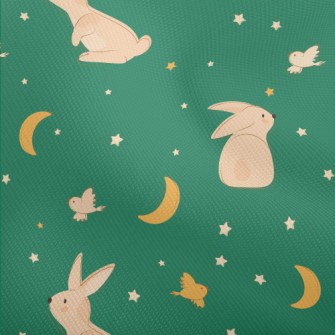 Moon And Rabbit Illustration Dobby