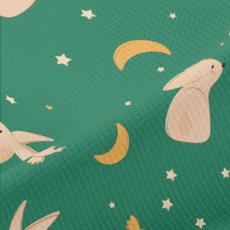 Moon And Rabbit Illustration Piqué