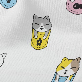 Cat In A Colorful Pocket Terry