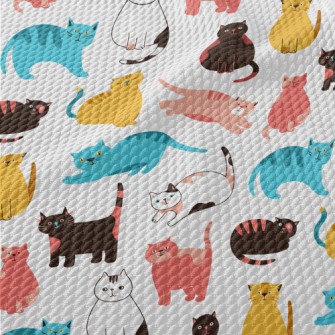 Colorful Fat Cat Birdseye Piqué