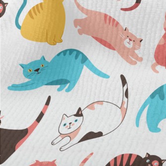 Colorful Fat Cat Terry