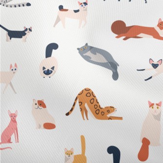 Cute American Style Cat Dobby