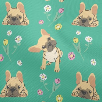 Innocent French Bulldog Dobby