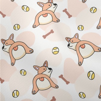 Little Corgi Dog Dobby