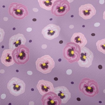 Beautiful Phalaenopsis Dobby