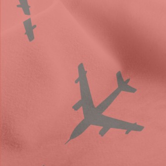 Neat Flying Plane Micro Fleece