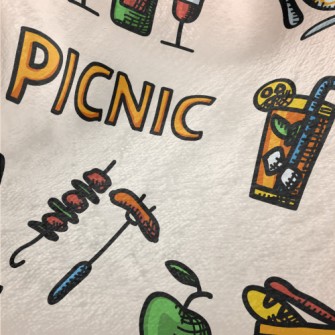 Leisure Picnic Record Minky