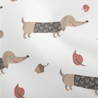 Autumn Dress Up For Dachshund Dobby