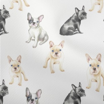 French Bulldogs Of Different C Dobby