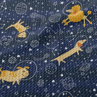 Astronaut Puppy Goes To Space Birdseye Piqué