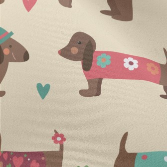 Dachshund Wearing Clothes Chiffon
