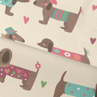 Dachshund Wearing Clothes Waterproof Oxford