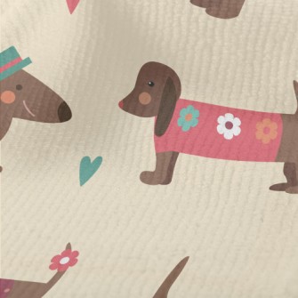 Dachshund Wearing Clothes Terry