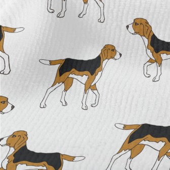 Two-tone Beagle Terry