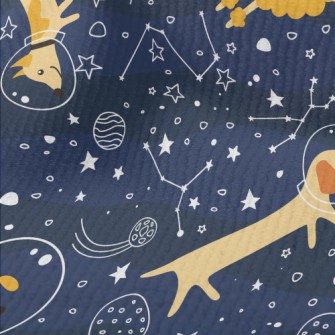Astronaut Puppy Goes To Space Terry