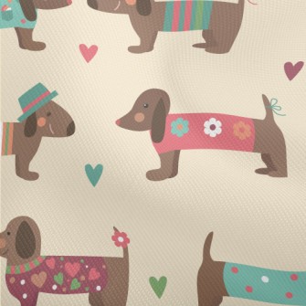Dachshund Wearing Clothes Dobby