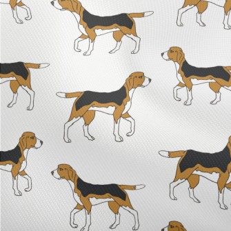 Two-tone Beagle Dobby