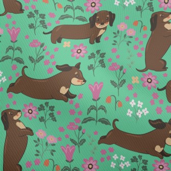 Dachshund In The Garden Dobby