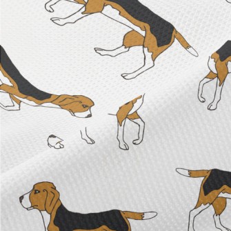 Two-tone Beagle Piqué