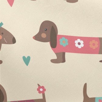 Dachshund Wearing Clothes Pongee