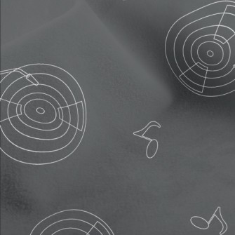 Vinyl Player Micro Fleece