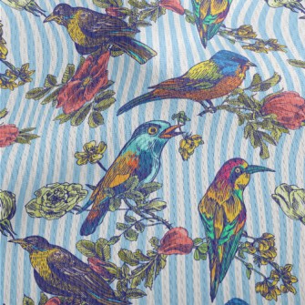 Colorful Bird Courtship Athletic Mesh Flat Back